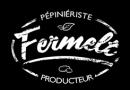 Logo FERMELT